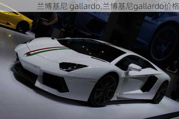 兰博基尼 gallardo,兰博基尼gallardo价格