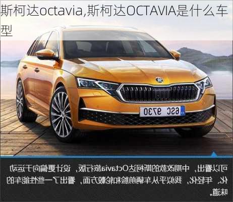 斯柯达octavia,斯柯达OCTAVIA是什么车型