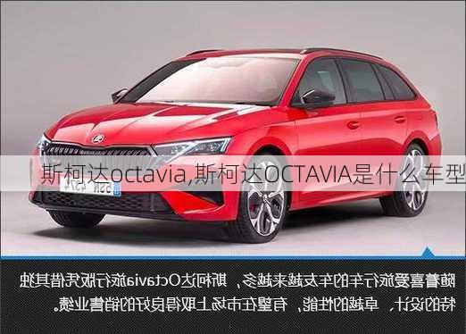 斯柯达octavia,斯柯达OCTAVIA是什么车型