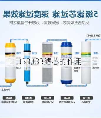 t33,t33滤芯的作用