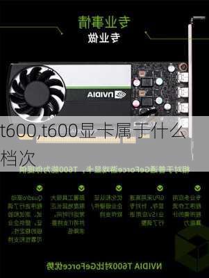 t600,t600显卡属于什么档次