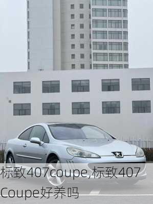 标致407coupe,标致407Coupe好养吗