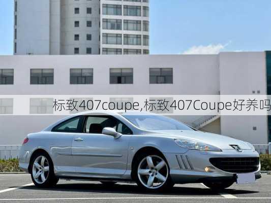 标致407coupe,标致407Coupe好养吗