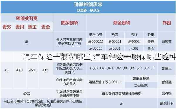 汽车保险一般保哪些,汽车保险一般保哪些险种