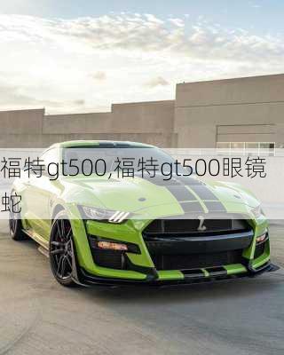 福特gt500,福特gt500眼镜蛇