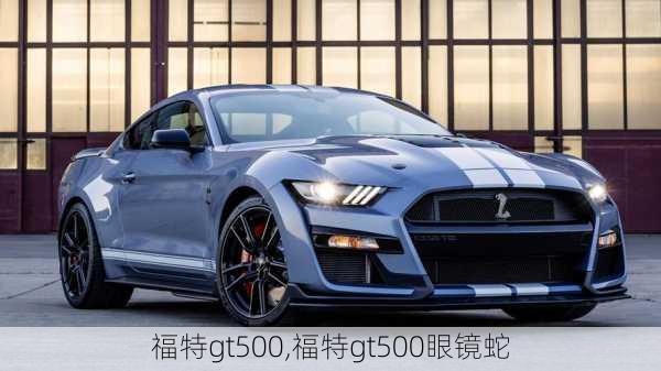 福特gt500,福特gt500眼镜蛇