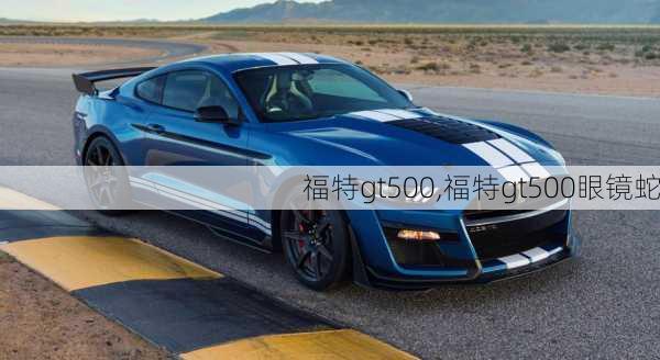 福特gt500,福特gt500眼镜蛇