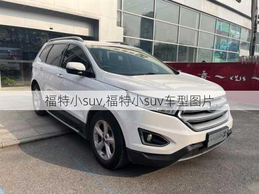 福特小suv,福特小suv车型图片