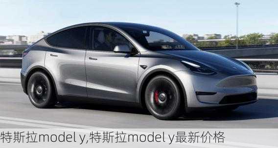 特斯拉model y,特斯拉model y最新价格