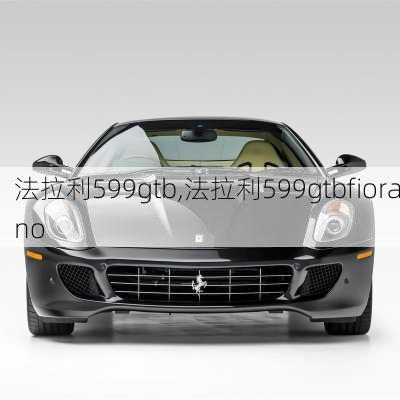 法拉利599gtb,法拉利599gtbfiorano