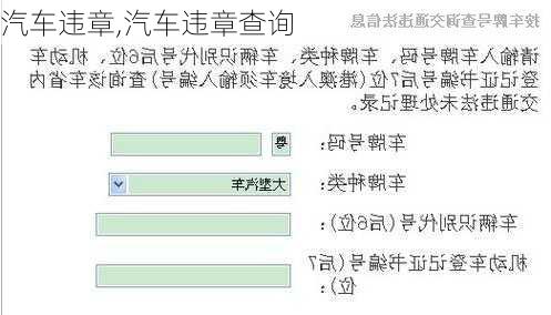 汽车违章,汽车违章查询