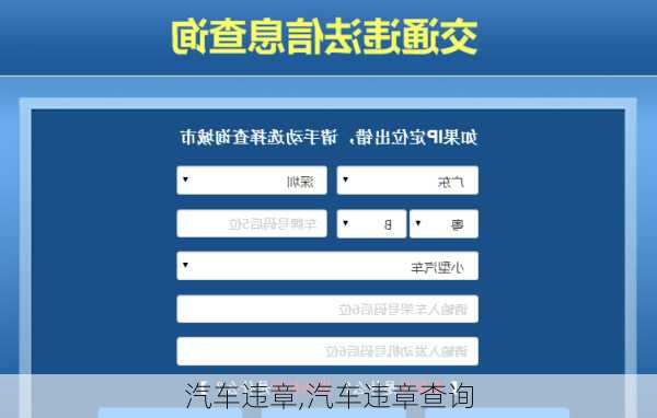 汽车违章,汽车违章查询