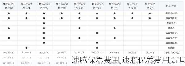 速腾保养费用,速腾保养费用高吗