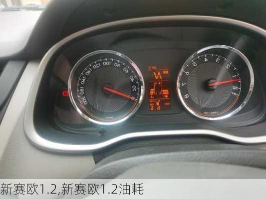 新赛欧1.2,新赛欧1.2油耗