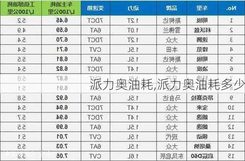 派力奥油耗,派力奥油耗多少