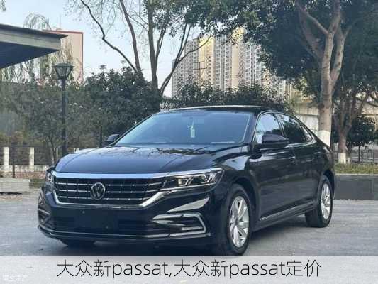 大众新passat,大众新passat定价