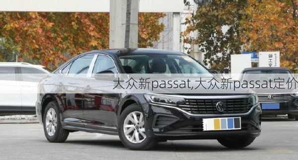 大众新passat,大众新passat定价