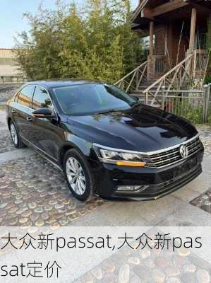 大众新passat,大众新passat定价