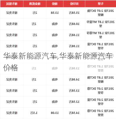 华泰新能源汽车,华泰新能源汽车价格