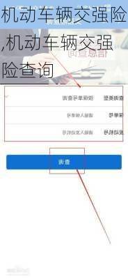机动车辆交强险,机动车辆交强险查询