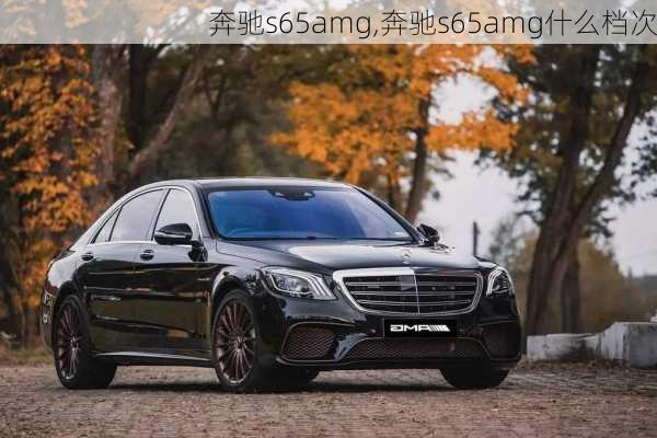 奔驰s65amg,奔驰s65amg什么档次