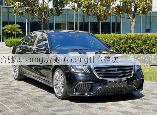 奔驰s65amg,奔驰s65amg什么档次