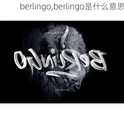 berlingo,berlingo是什么意思