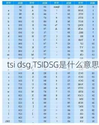 tsi dsg,TSIDSG是什么意思