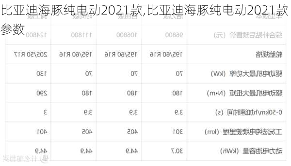 比亚迪海豚纯电动2021款,比亚迪海豚纯电动2021款参数