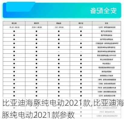 比亚迪海豚纯电动2021款,比亚迪海豚纯电动2021款参数