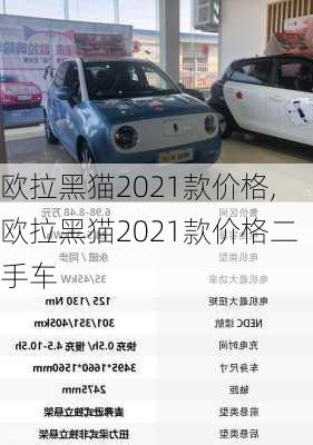 欧拉黑猫2021款价格,欧拉黑猫2021款价格二手车