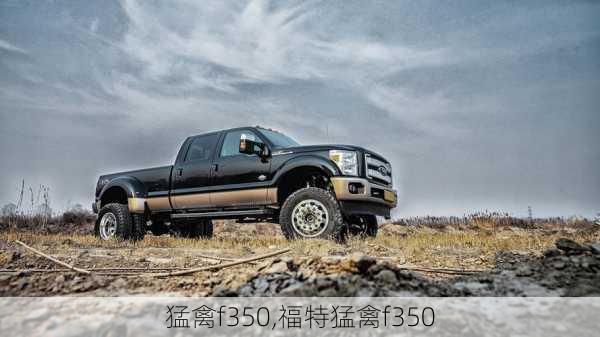 猛禽f350,福特猛禽f350