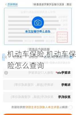 机动车保险,机动车保险怎么查询