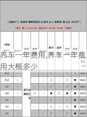 养车一年费用,养车一年费用大概多少