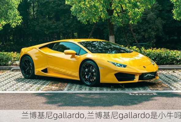 兰博基尼gallardo,兰博基尼gallardo是小牛吗