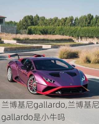 兰博基尼gallardo,兰博基尼gallardo是小牛吗