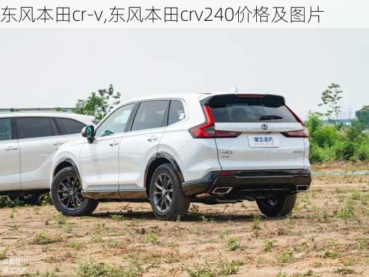 东风本田cr-v,东风本田crv240价格及图片