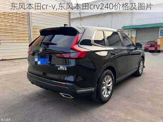 东风本田cr-v,东风本田crv240价格及图片