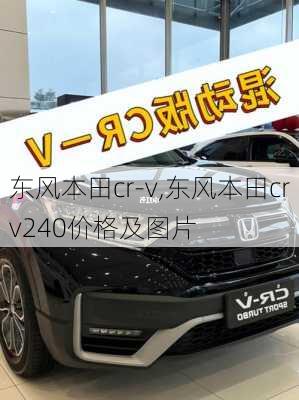 东风本田cr-v,东风本田crv240价格及图片