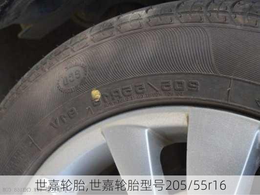 世嘉轮胎,世嘉轮胎型号205/55r16