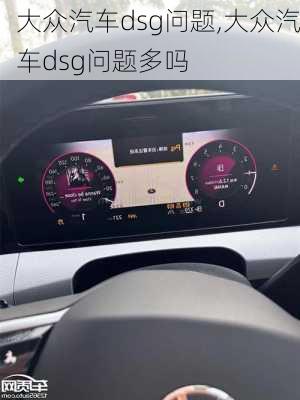 大众汽车dsg问题,大众汽车dsg问题多吗