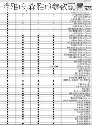 森雅r9,森雅r9参数配置表