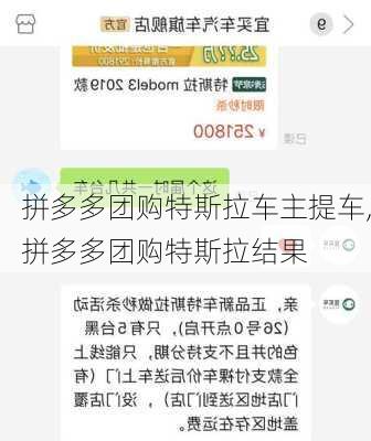 拼多多团购特斯拉车主提车,拼多多团购特斯拉结果