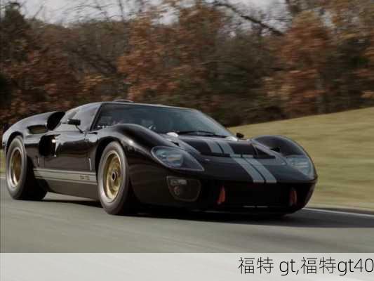 福特 gt,福特gt40