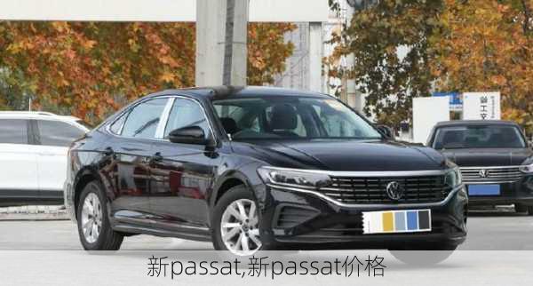 新passat,新passat价格