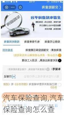 汽车保险查询,汽车保险查询怎么查