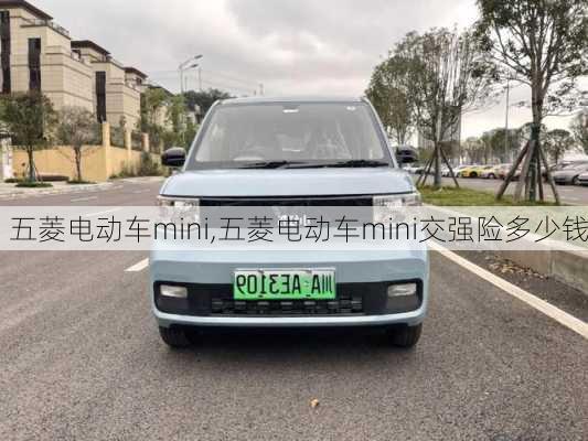 五菱电动车mini,五菱电动车mini交强险多少钱