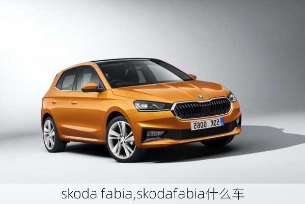 skoda fabia,skodafabia什么车