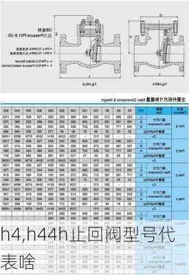 h4,h44h止回阀型号代表啥