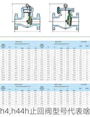 h4,h44h止回阀型号代表啥